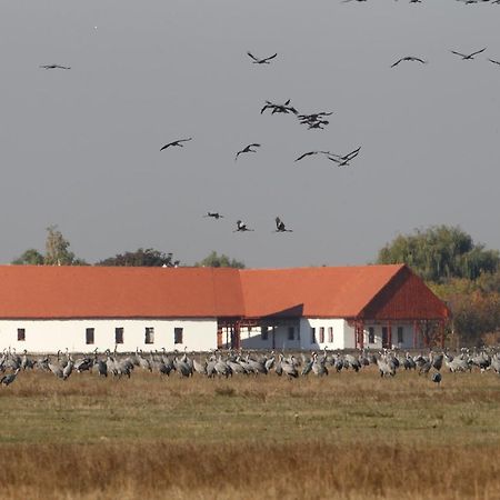 Bibic Nature Lodge Balmazújváros 外观 照片