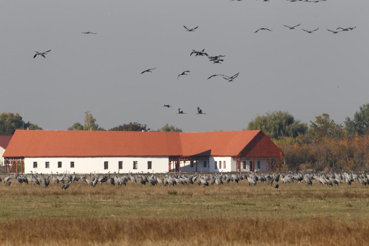 Bibic Nature Lodge Balmazújváros 外观 照片