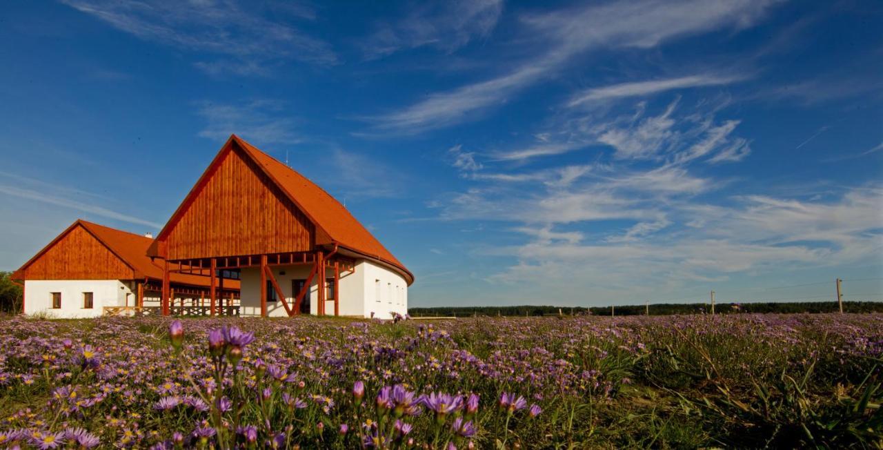 Bibic Nature Lodge Balmazújváros 外观 照片