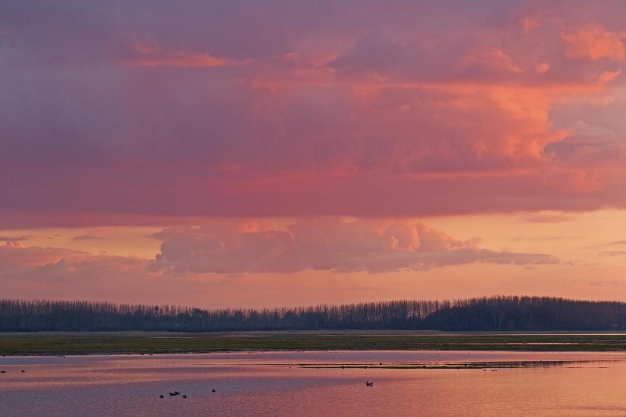 Bibic Nature Lodge Balmazújváros 外观 照片